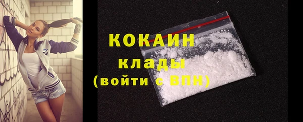 круглые Пересвет
