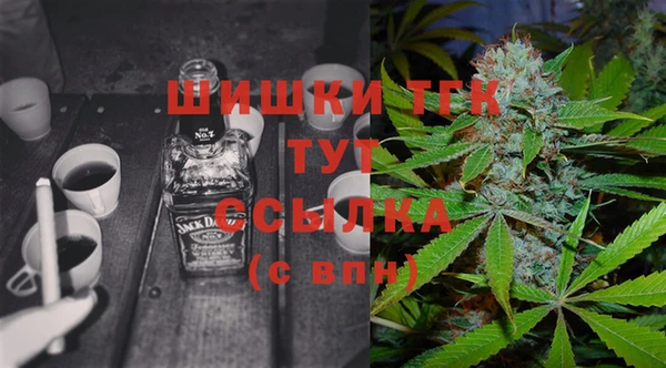 круглые Пересвет